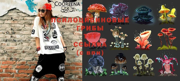 прущая мука Арсеньев