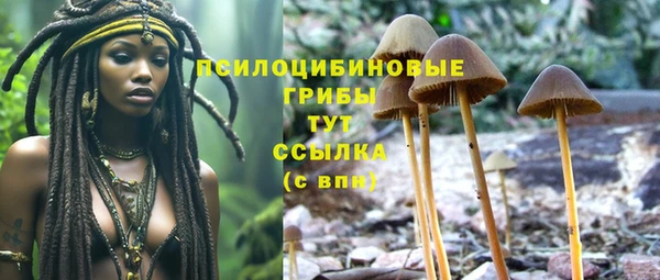прущая мука Арсеньев