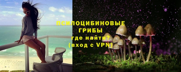 прущая мука Арсеньев