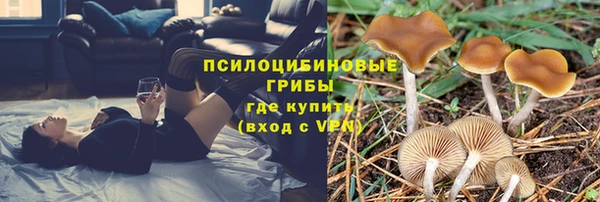 jwh Аркадак